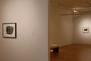 view of the show1
